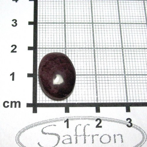 R Spondylus - kabošon č.3 — foto 1