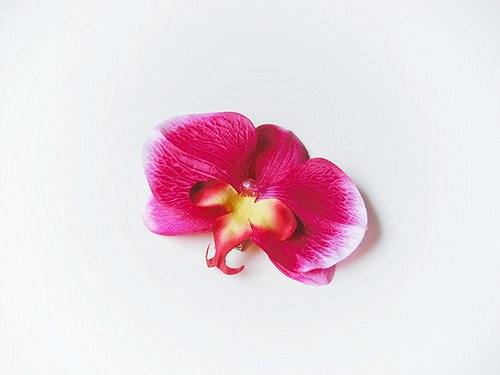 Orchidej do vlasů ROSALIA — foto 1