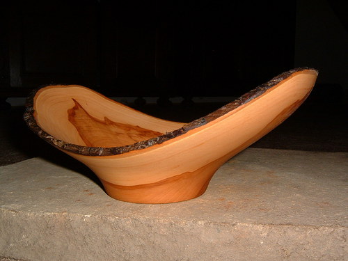 Jabloňová kůrová — foto 1