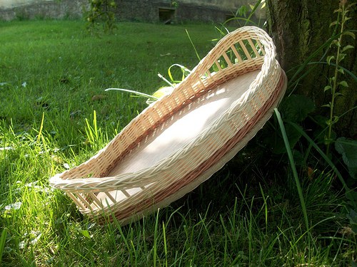 Podnos