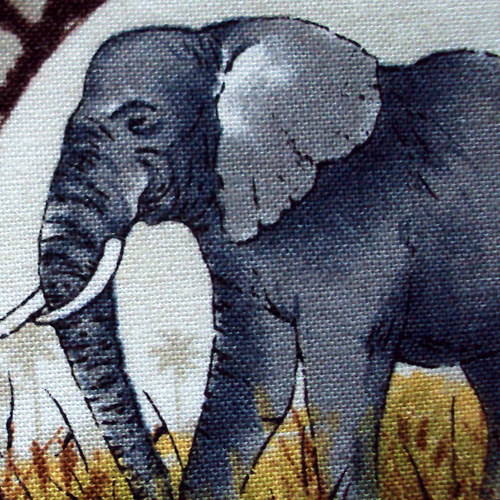 Safari IV. — foto 1