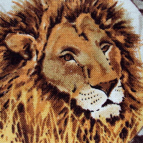 Safari V. — foto 1