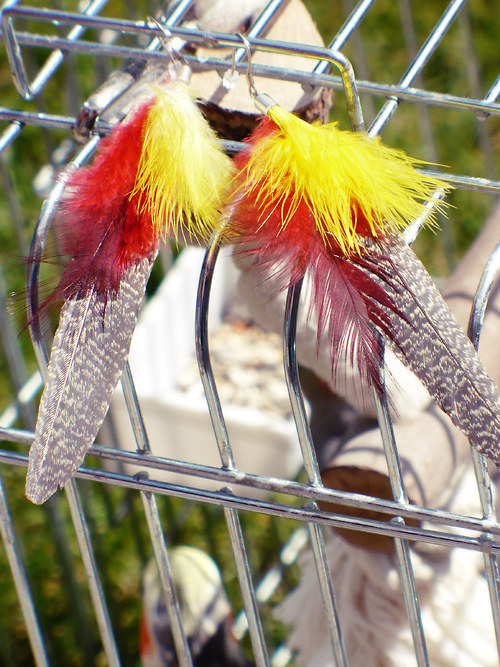 Parrot - VÝPRODEJ! — foto 1