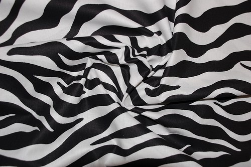 Zebra černobílá Vyprodáno!!! — foto 1