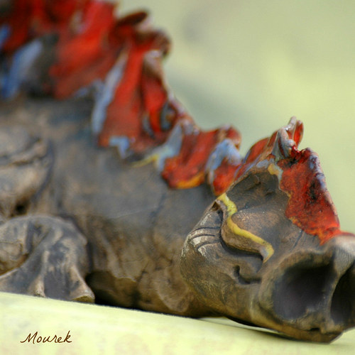 Ohnivý drak — foto 1