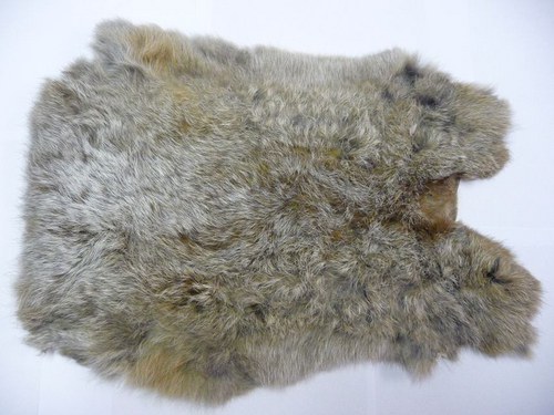 Králík 1 — foto 1