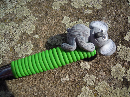 Pan koala — foto 1
