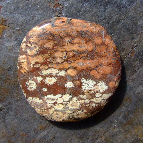 Jaspis Leopardí — foto 1