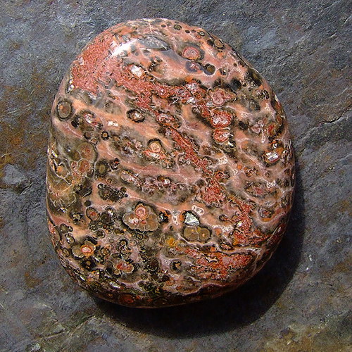 Jaspis Leopardí — foto 1