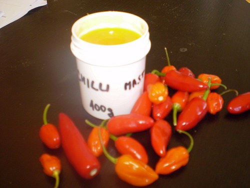 Chilli mast 100g — foto 1