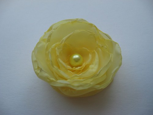 Sunny Rose ®...kolekce Odrůdy růží — foto 1