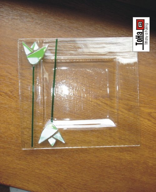 Talířek tulipán — foto 1