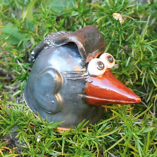 Zvonivec Fešák — foto 1