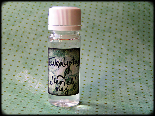 Eukalyptus - éterický olej — foto 1