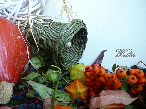 Zvonek zelený - velký — foto 1