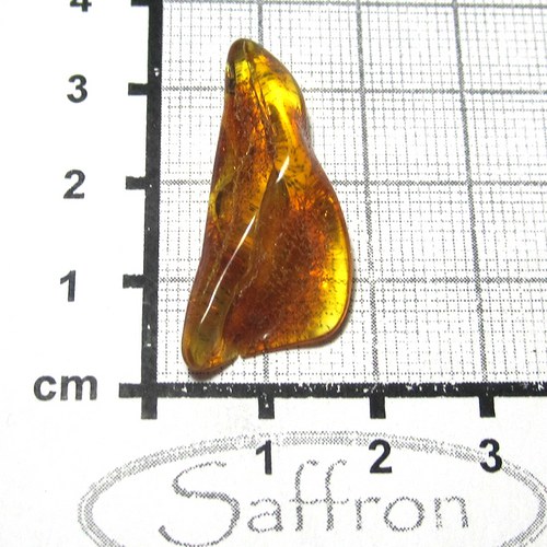 Přírodní Jantar - Litva č.1 — foto 1