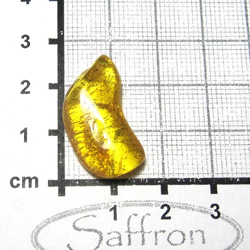 Přírodní Jantar - Litva č.6 — foto 1