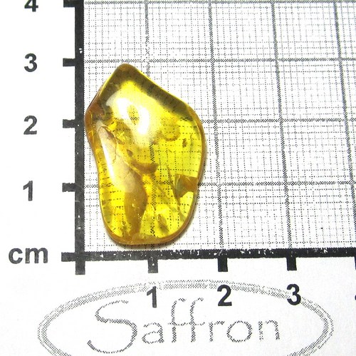 Přírodní Jantar - Litva č.7 — foto 1