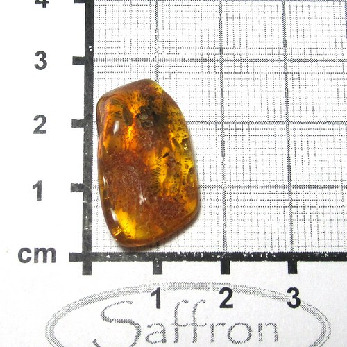 Přírodní Jantar - Litva č.9 — foto 1