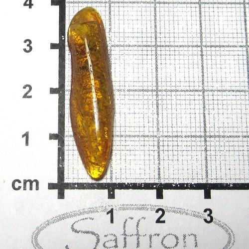 Přírodní Jantar - Litva č.11 — foto 1