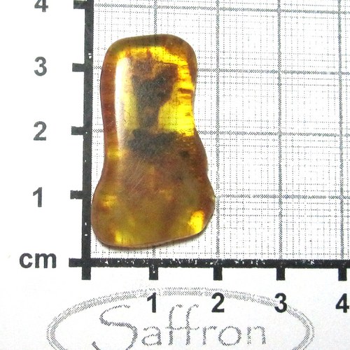 Přírodní Jantar - Litva č.16 — foto 1
