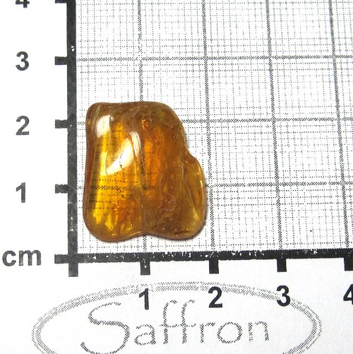 Přírodní Jantar - Litva č.20 — foto 1