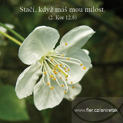 Magnetický obrázek (¨31) "Stačí, když máš... — foto 1