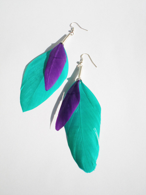 SeeBird. — foto 1