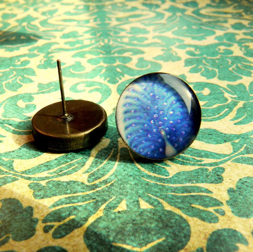 Paví n.2 — foto 1