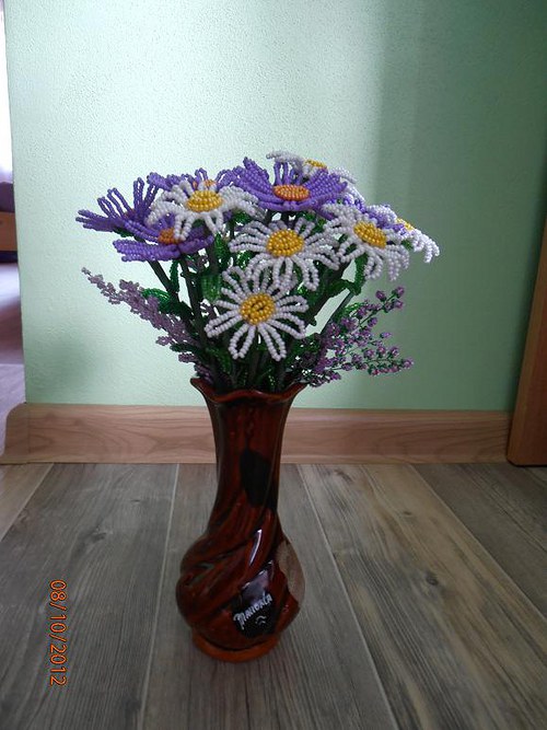 Astra alpská — foto 1