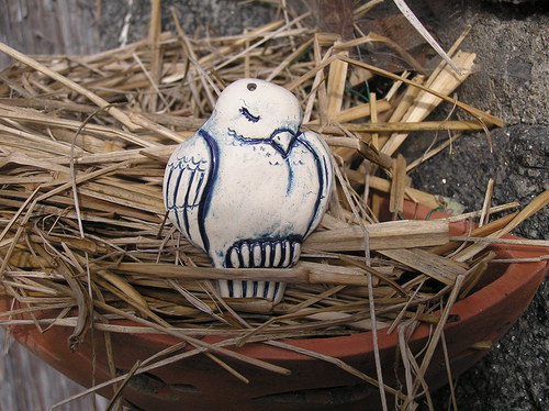 Ptáček — foto 1