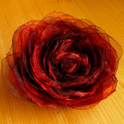 Where the wild red roses grow .... — foto 1