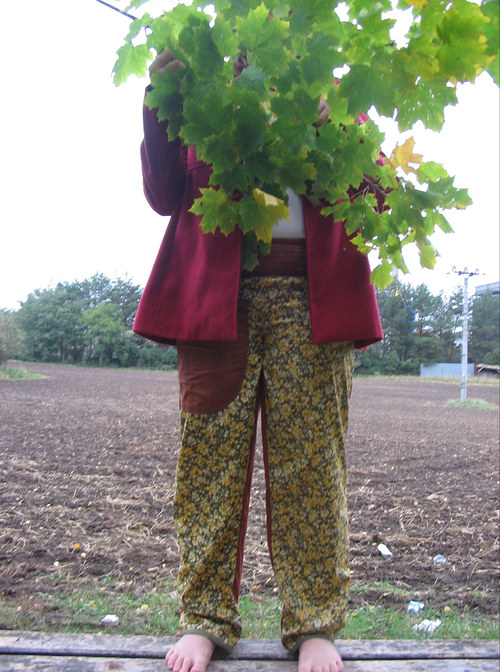 Na louce.. — foto 1