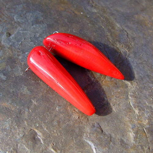 Korál: chilli papričky — foto 1