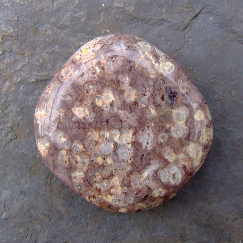 Jaspis Leopardí — foto 1