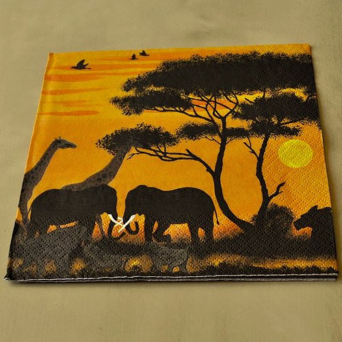 Ubrousek - Afrika při západu slunce