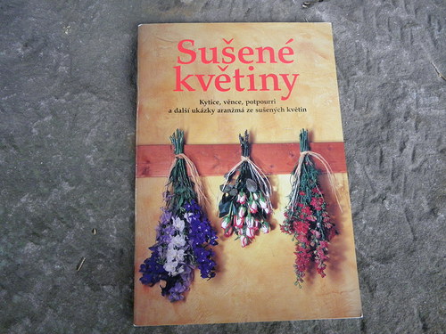 Sušené květiny — foto 1