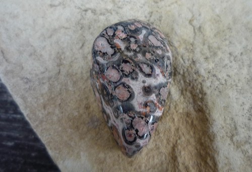 Jaspis leopardí L7305 — foto 1