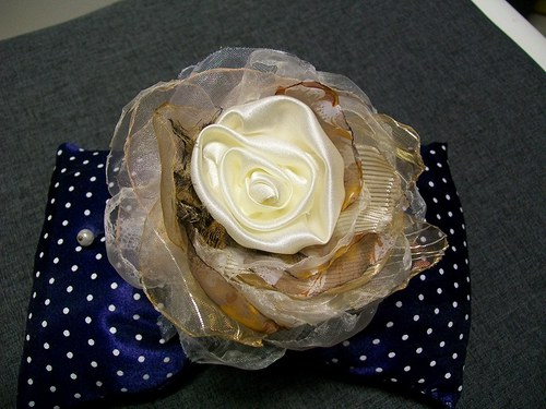 Rosa Tigrida — foto 1