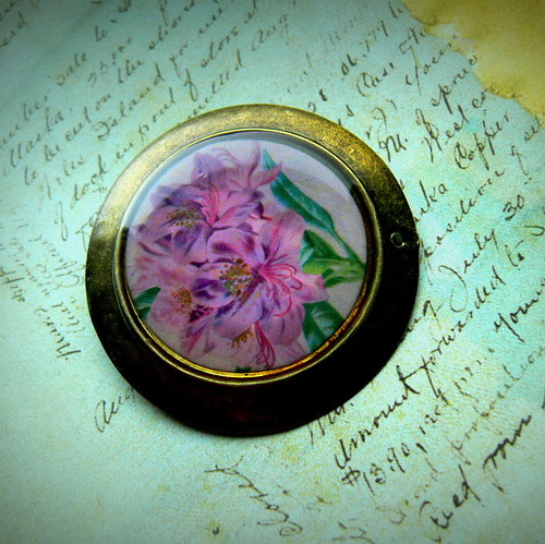 Rhododendron — foto 1