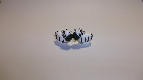 Zebry — foto 1