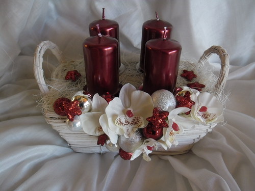 Adventní orchidejový — foto 1