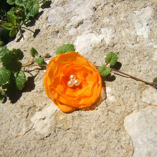 Oranžová — foto 1