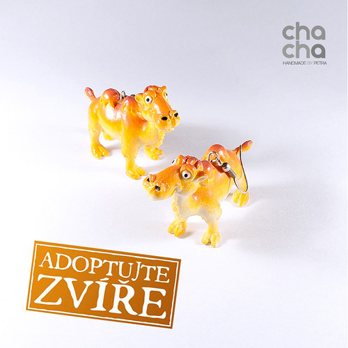 Adoptujte zvíře! - velbloudi — foto 1