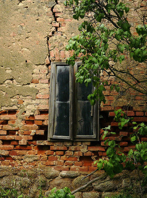 Duch za oknem spustlého domu, Rozměry 4335x5804, v