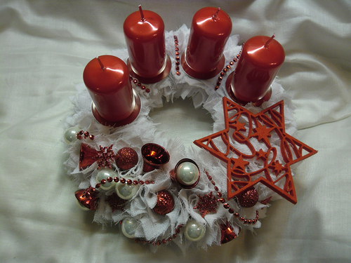 Adventní červený zvonečkový — foto 1