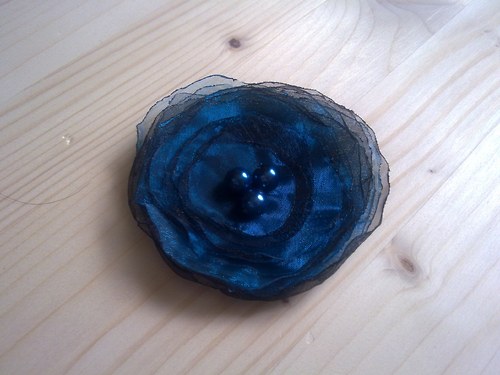 Blueberry — foto 1