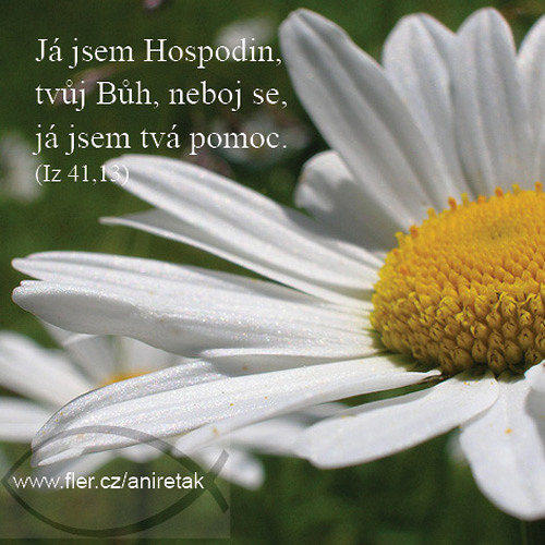 Magnetický obrázek (47) "Já jsem Hospodin,..." — foto 1