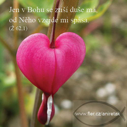 Magnetický obrázek (70) "Jen v Bohu..." — foto 1