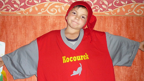 Noční košile pro kocourka — foto 1